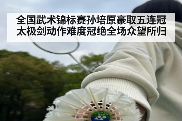 全国武术锦标赛孙培原豪取五连冠太极剑动作难度冠绝全场众望所归